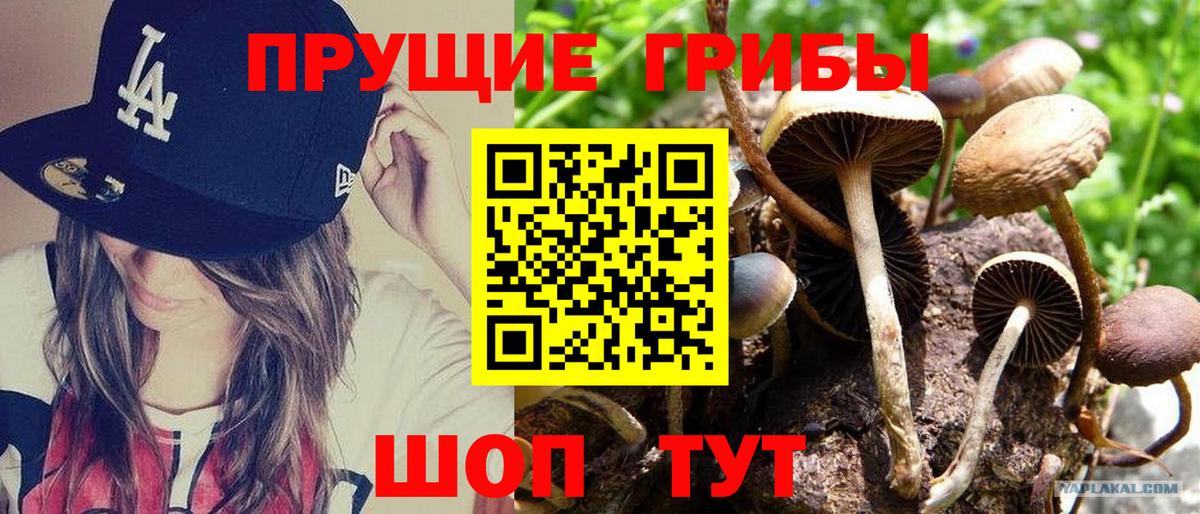 Псилоцибиновые грибы мухоморы  Вход с VPN  Добрянка 