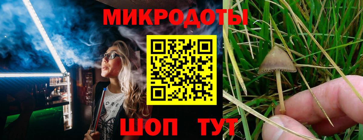 Псилоцибиновые грибы MAGIC MUSHROOMS Добрянка